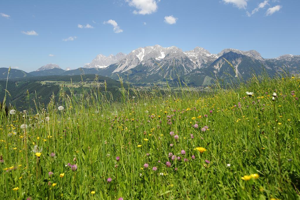 Chalet Alm Planai Schladming Exterior foto
